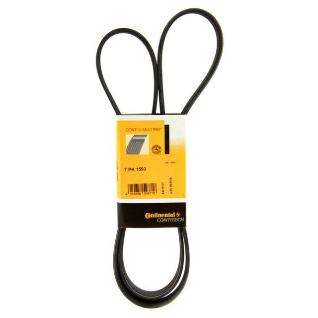 CINGHIA ALTERNATORE TOYOTA RAV 4 II 2.0 - Autoricambi4x4