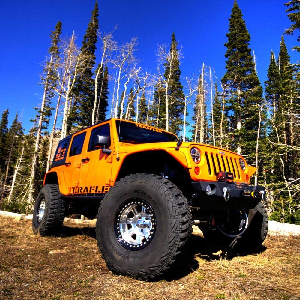 Copertura differenziale heavy duty per assali Dana 30 TeraFlex - Autoricambi4x4