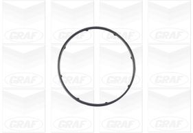 POMPA ACQUA FIAT PANDA 1.3 MULTIJET - Autoricambi4x4